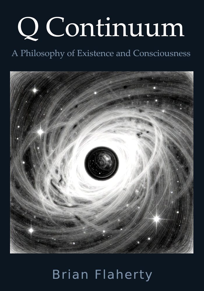 Cover of Q Continuum: A Philosophy of Existence and Consciousness by Brian Flaherty